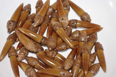 +MBAAC #02-08  "Set Of 40 Capped Valley Oak Acorn Beads"
