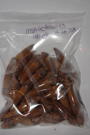 +MBAAC #02-13  "Set Of 40 Capped Valley Oak Acorn Beads"