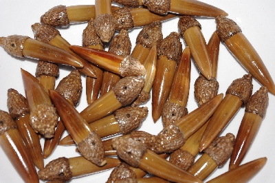 +MBAAC #02-13  "Set Of 40 Capped Valley Oak Acorn Beads"
