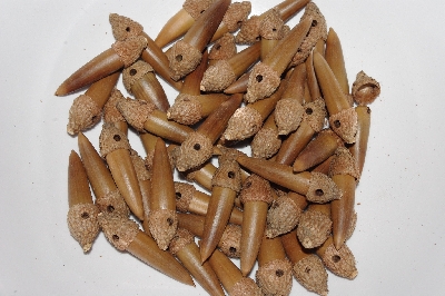 +MBAAC #03-10   "Set OF 55 Capped & Drilled Acorn Beads