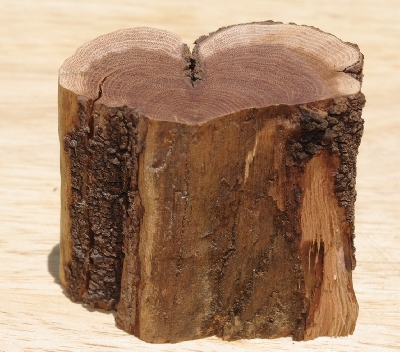 +MBA #5558-185  "Piece Of Manzanita Root"