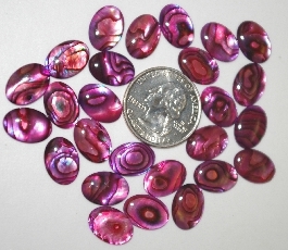 +MBA #23-075  "Set Of 26 Pink Cut & Polished Paua Shell Cabochons
