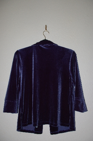 +MBADG #52-404  "Boston Proper Fancy Blue Velvet Button Front Top"