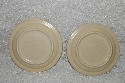 +MBADG #31-137  "Pfaltzgraff Set Of 2 Village Desert Plates"